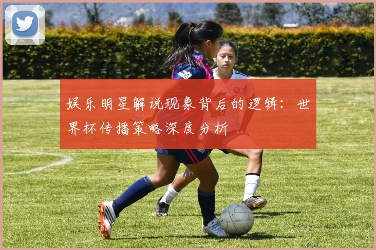 娱乐明星解说现象背后的逻辑:世界杯传播策略深度分析