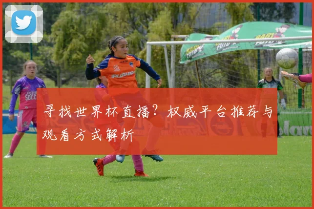 寻找世界杯直播?权威平台推荐与观看方式解析